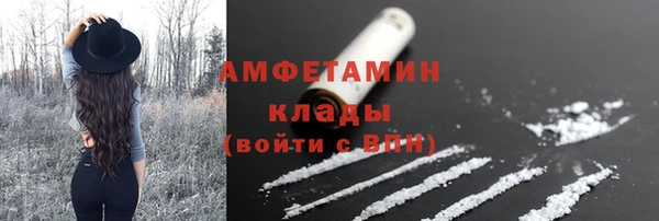 сатива Краснослободск