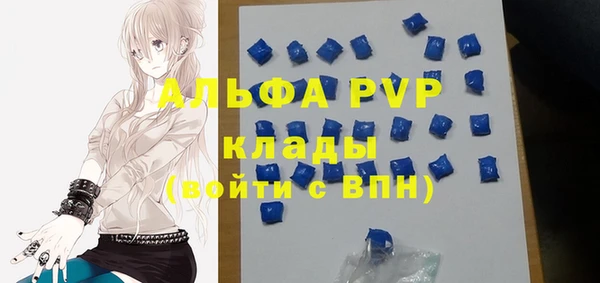амф Богданович
