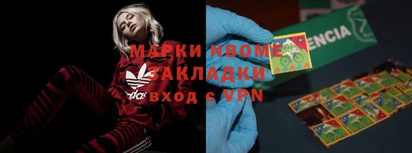 амф Богданович