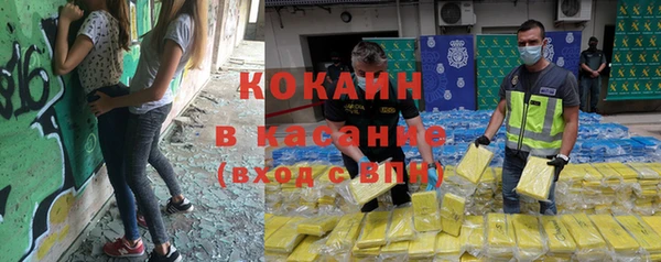 амф Богданович