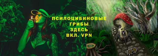 первитин Богородск