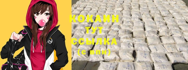 амф Богданович