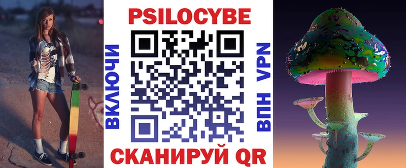 купить наркоту  Вельск  Псилоцибиновые грибы Psilocybe 